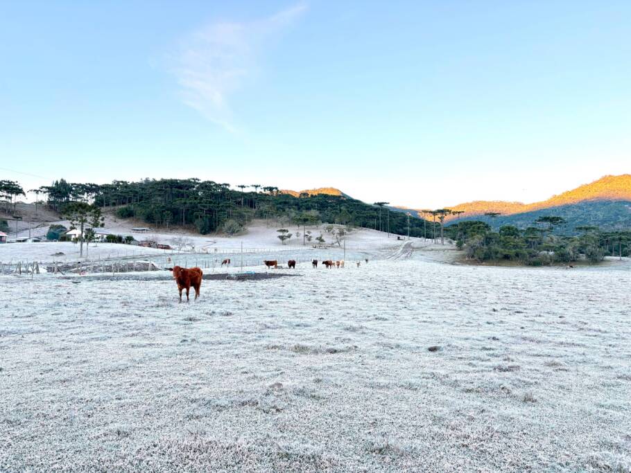 O frio intenso voltou a transformar as paisagens de Urubici em um verdadeiro cenário de inverno
