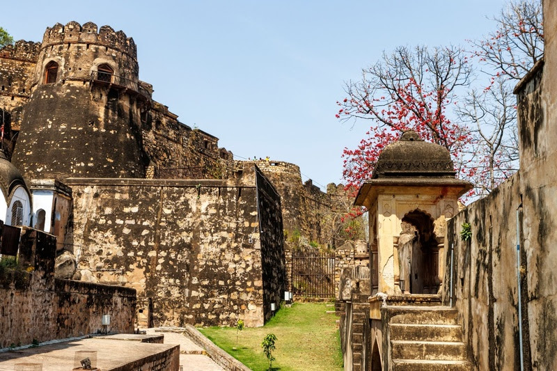 O retiro em Jhansi combina ioga, meditação e massagens ayurvédicas, a poucas horas de Déli