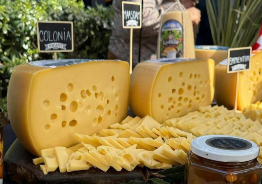 Rota do Queijo percorre a principal bacia leiteira do Uruguai, formada por cerca de 800 produtores artesanais