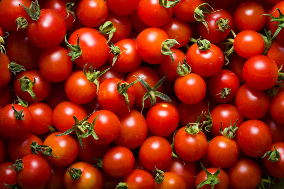 Estudo sugere que o licopeno, antioxidante responsável pela cor vermelha do tomate, pode contribuir para proteger o cérebro