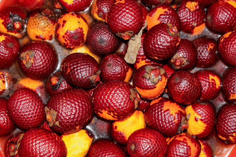 O consumo do buriti pode favorecer o controle dos níveis de colesterol no sangue (Imagem: F de Jesus | Shutterstock)