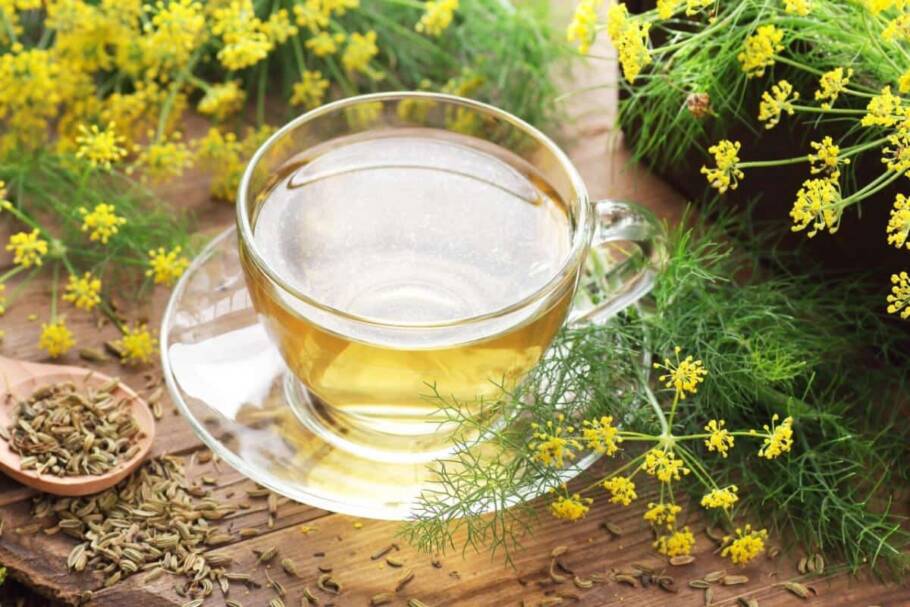 A erva-doce tem propriedades calmantes e sedativas (Imagem: teatian | Shutterstock)