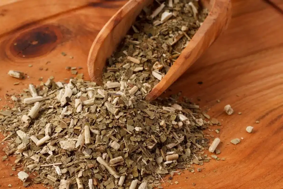A erva-mate pode ser um aliado natural na perda de peso (Imagem: Iuliia Timofeeva | Shutterstock)