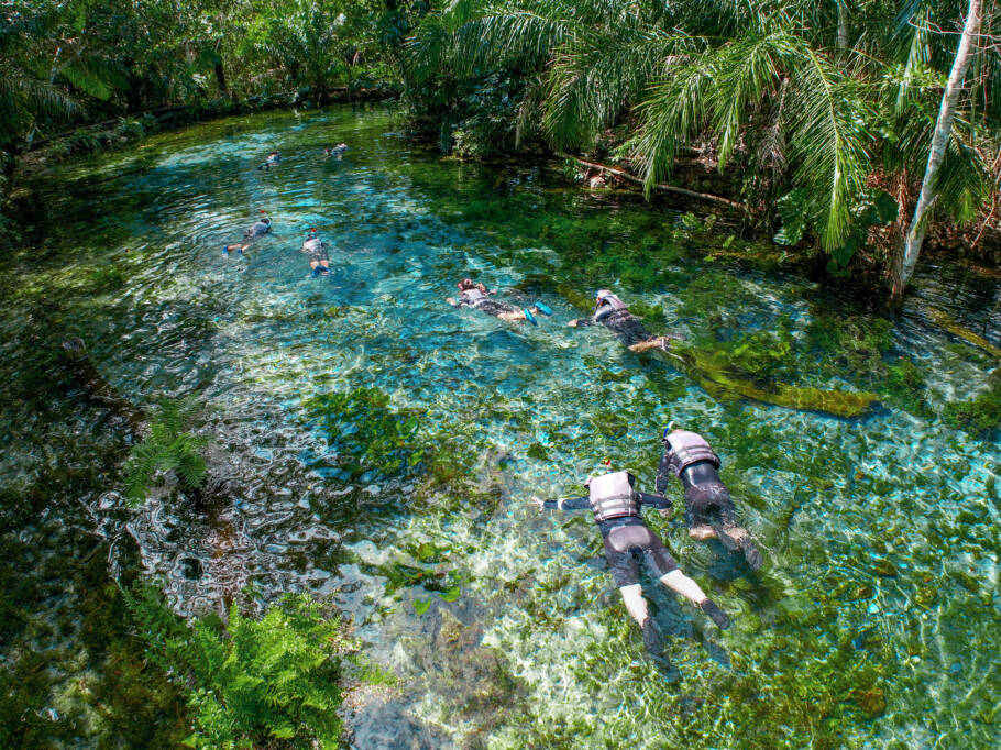 Flutuação na Nascente Azul é passeio imperdível em Bonito