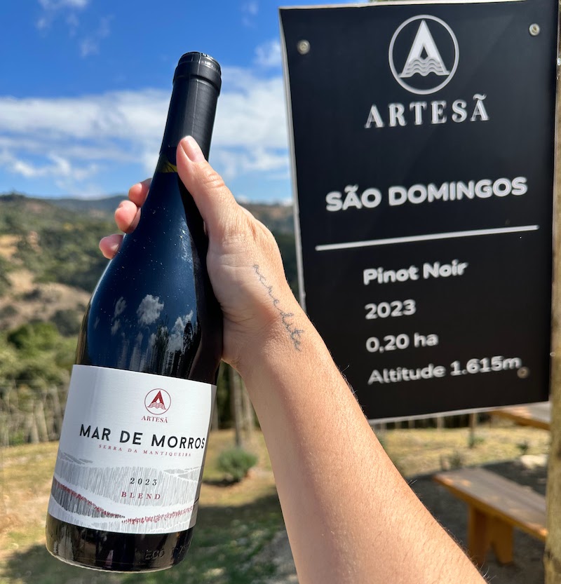 Vinícola Artesã em Gonçalves