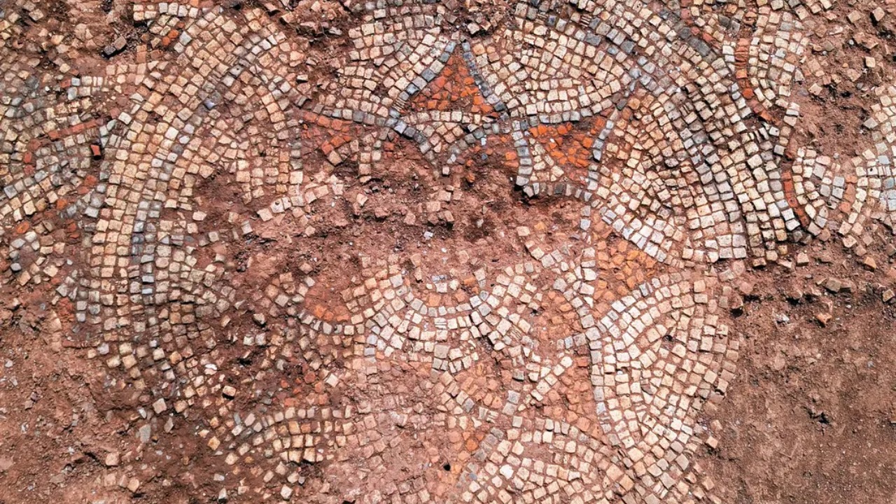 Piso decorativo de estilo policromado apresenta motivos florais do século quatro.