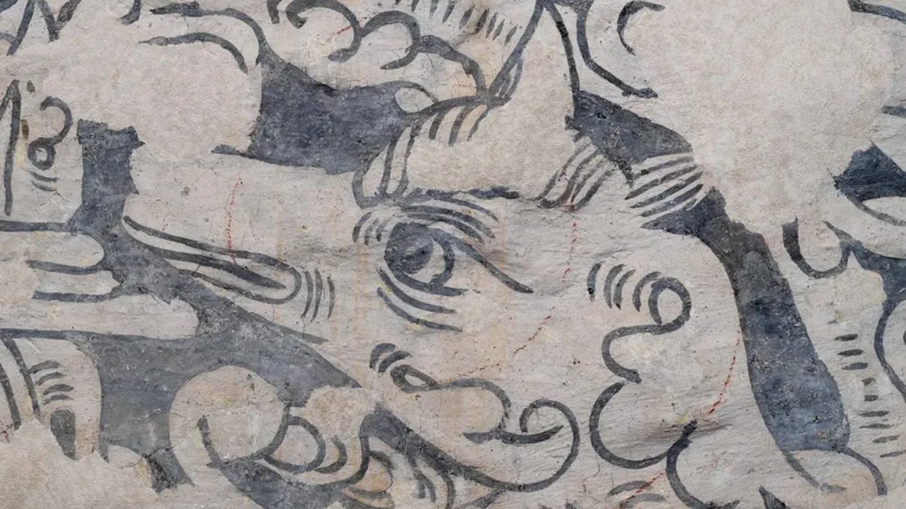 Descoberta acidental de pinturas murais raras do período Tudor durante reforma residencial.