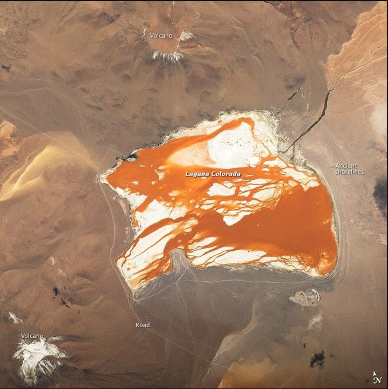 O contraste observado do espaço é ampliado pelas áreas brancas de bórax e outros sais presentes no fundo e nas margens.