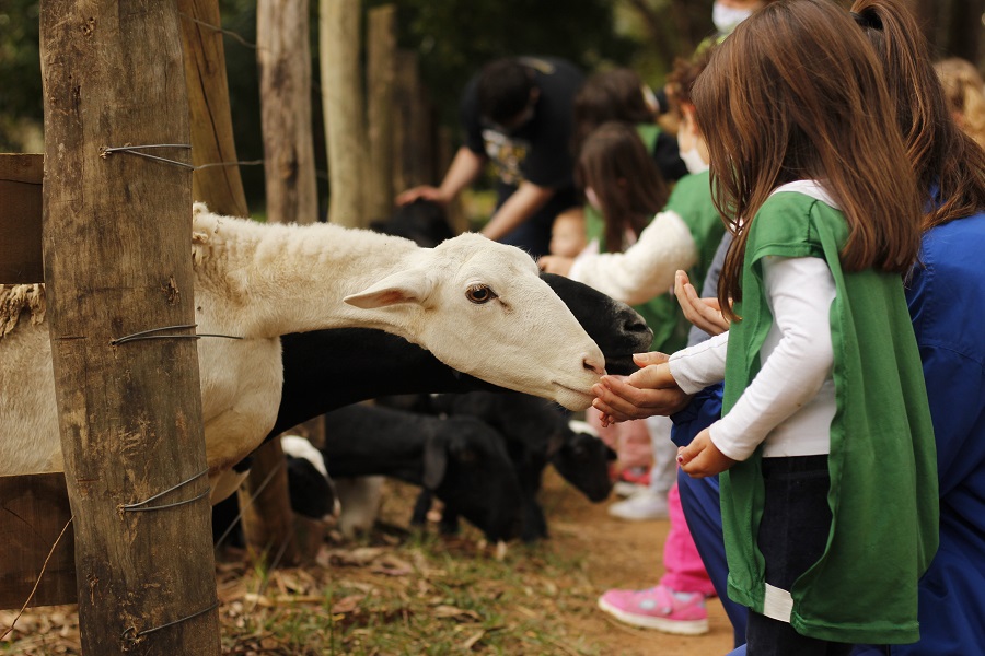 Pacote de três noites terá atividades de fazenda, esportes, parque aquático, festa caipira e atrações para diferentes idades