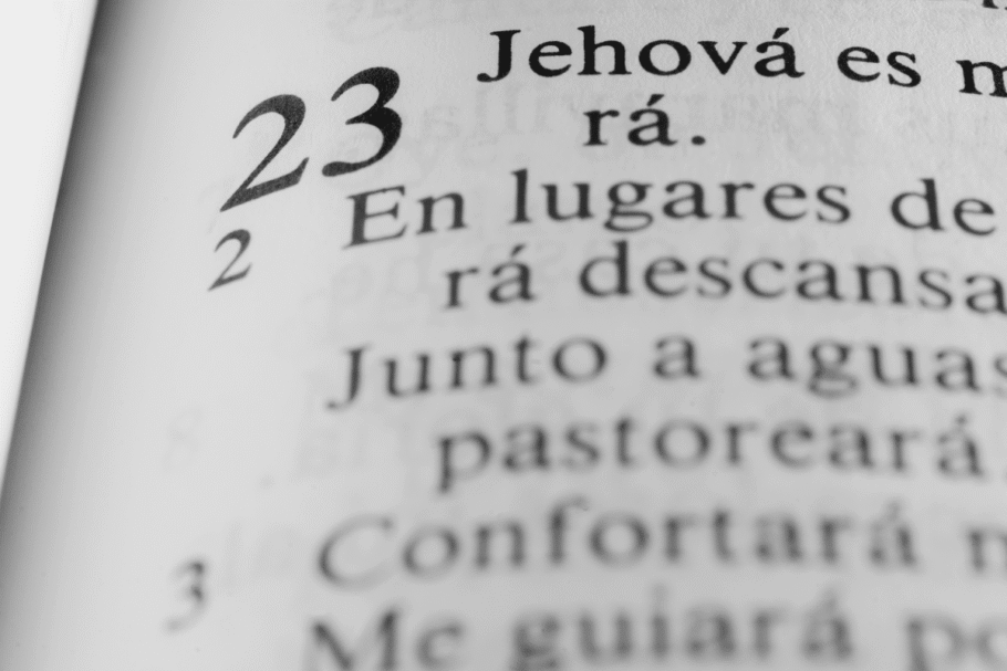 O Salmo 23 ilustra o cuidado e provisão divina em momentos de provação (Imagem: Byron Ortiz | Shutterstock)