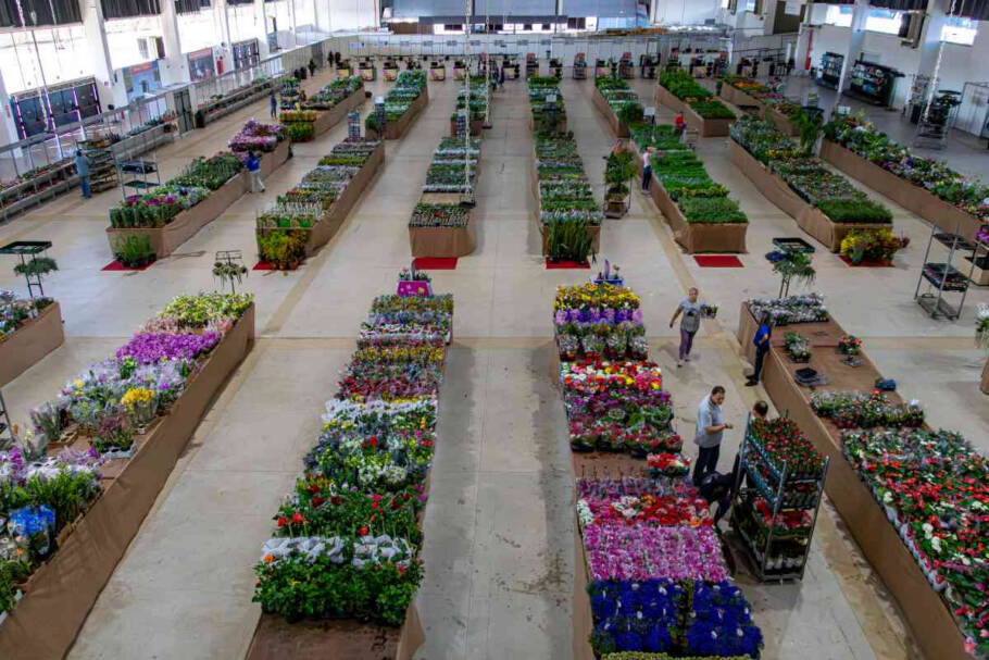 O Shopping das Flores reúne mais de 400 produtos