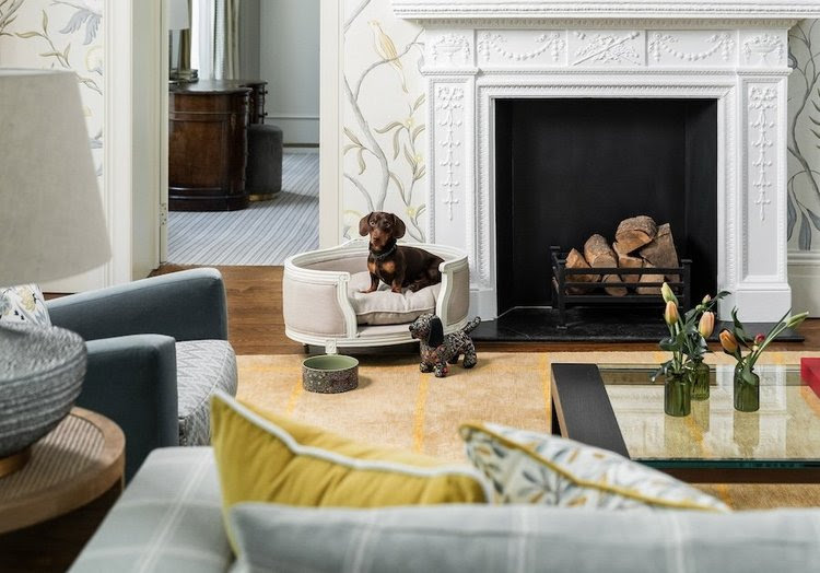 Pacote do Brown’s Hotel inclui cama de design, gastronomia e itens para cães