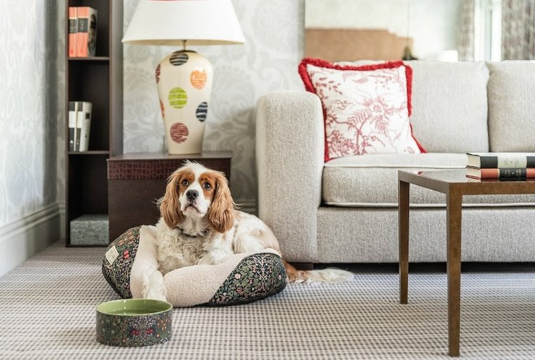Best Furry Friends está disponível para estadias de duas noites