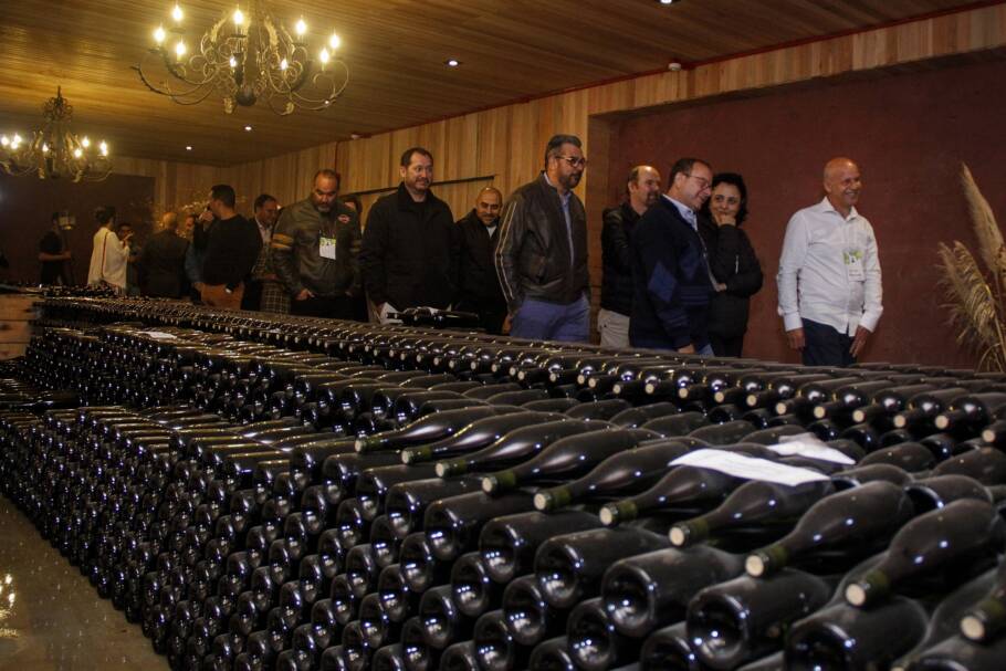 A produção de vinho também mudou a forma de conhecer a Serra Catarinense