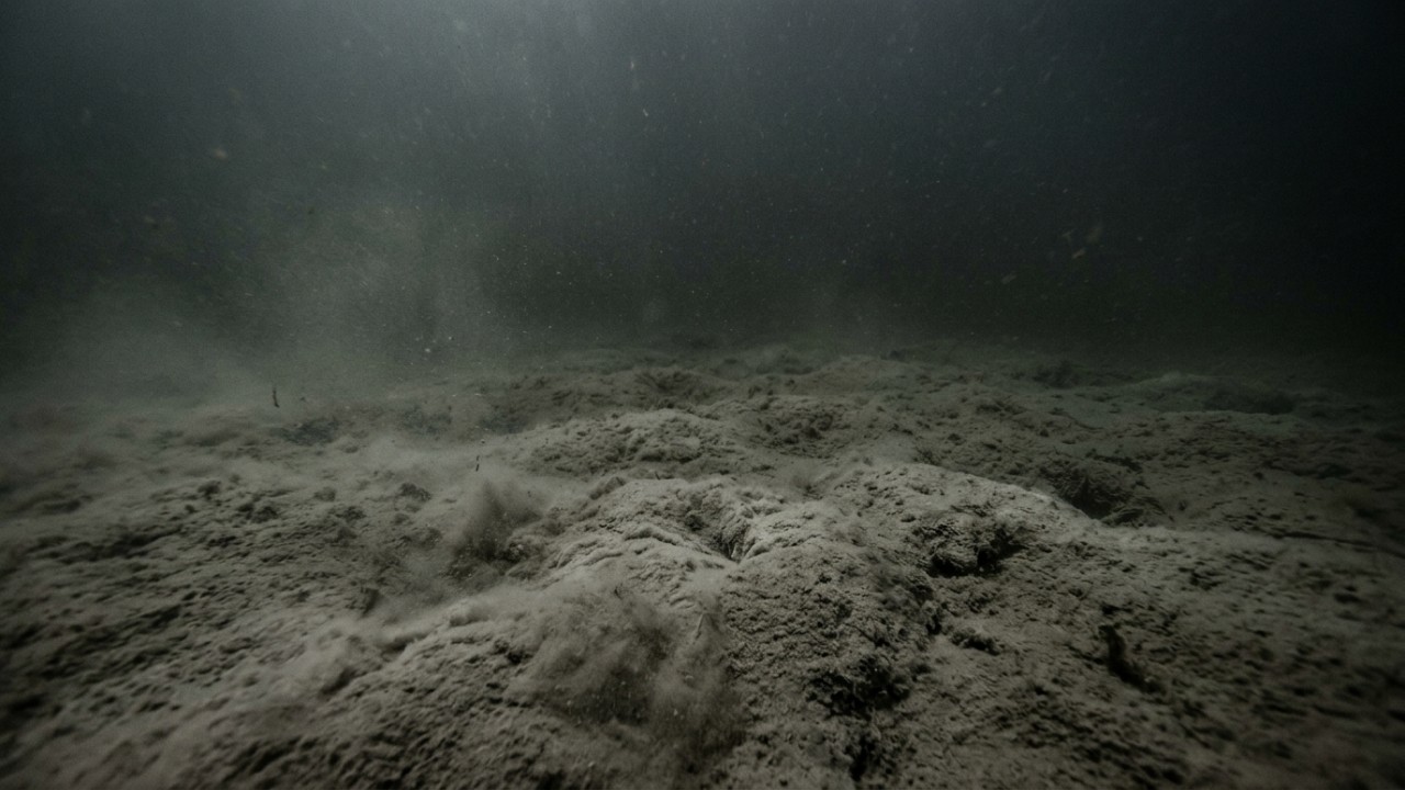 O bloqueio da radiação solar e a perda de vegetação submarina criam um verdadeiro deserto subaquático na região afetada.
