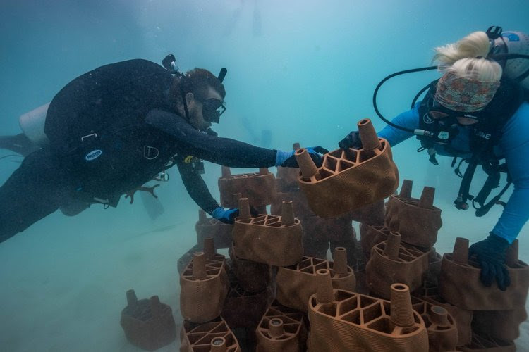 Iniciativa do Anantara Dhigu Maldives Resort instalou estruturas de argila impressas em 3D no fundo do mar