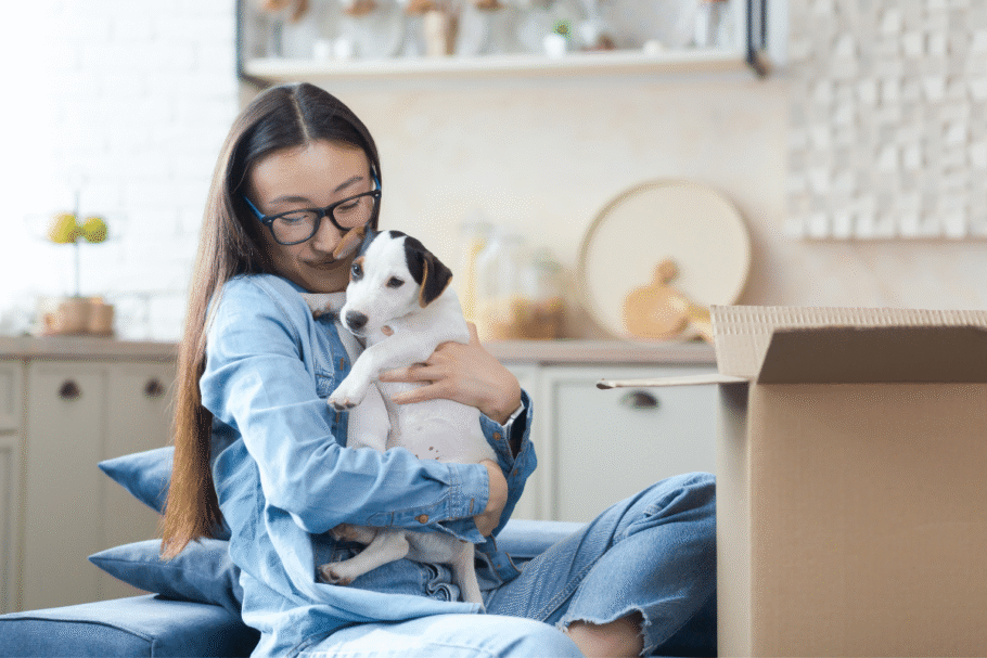 A personalidade do animal também influencia a forma como ele demonstra afeto e cria vínculos (Imagem: voronaman | Shutterstock)