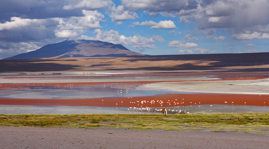 Laguna Colorada fica a 4.278 metros de altitude no Altiplano da Bolívia