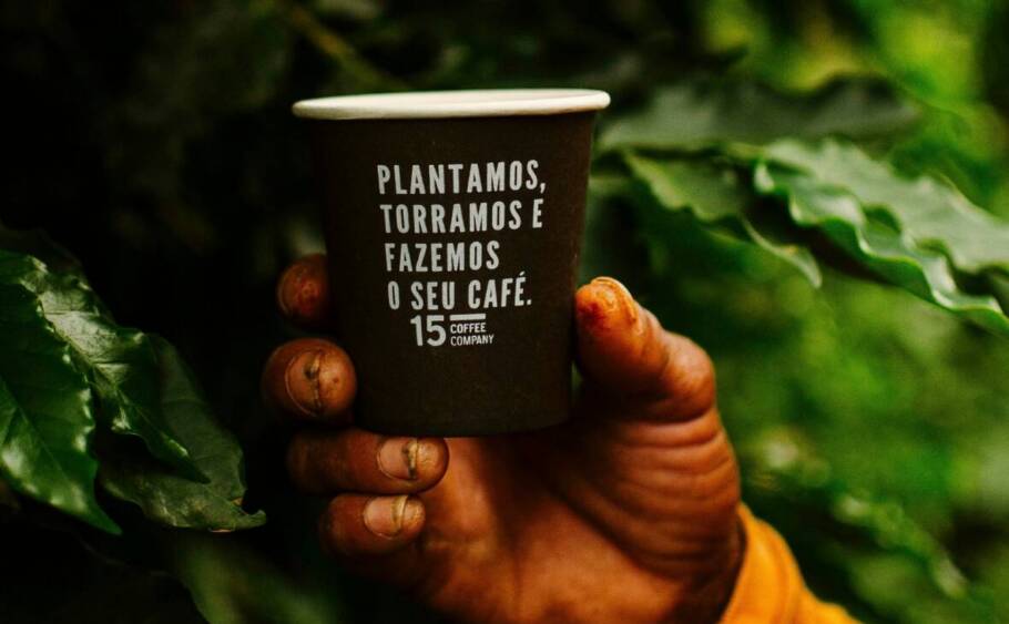 Grão & Torra: 15 Coffee Company terá seleção de cafés especiais e até muda da planta no festival