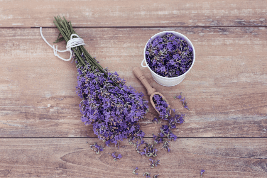 A lavanda simboliza tranquilidade e busca por momentos de paz interior (Imagem: Flaviya | Shutterstock)