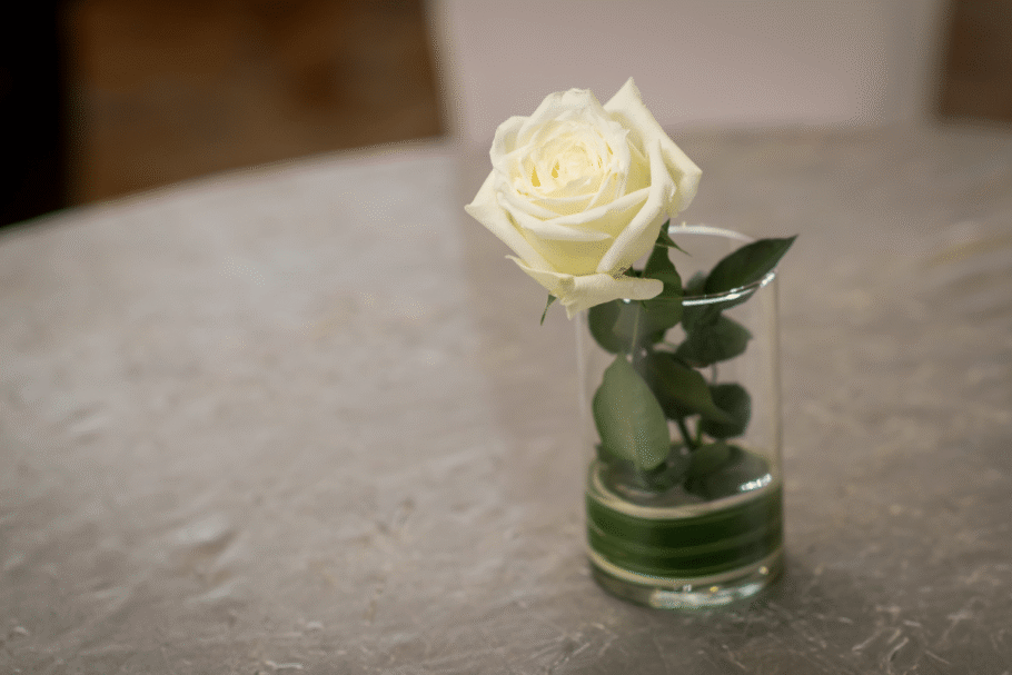 A rosa-branca simboliza a paz e a renovação emocional, ajudando a representar o encerramento de ciclos amorosos sem guardar mágoas do passado (Imagem: Infinity T29 | Shutterstock)