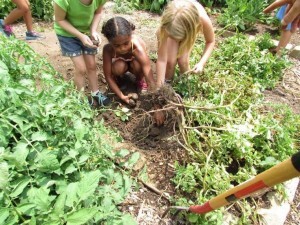 Plantando com as crianças.