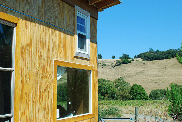 "Quando você não tem o dinheiro, tem que ter criatividade", relata a mãe, Lulu.
