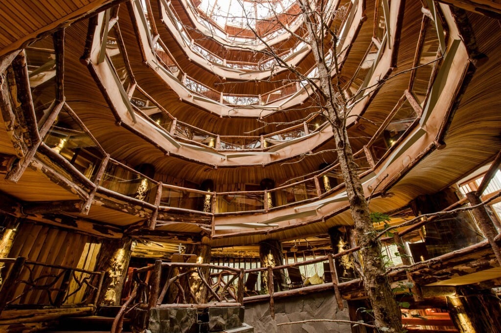 Vista de interior do Nothofagus, hotel da Patagônia chilena construído em torno de uma árvore (Fotos: Divulgação)