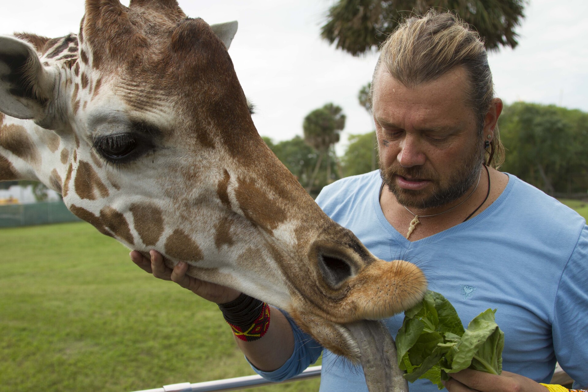 Biólogo teve acesso aos bastidores dos parques na Flórida (EUA)