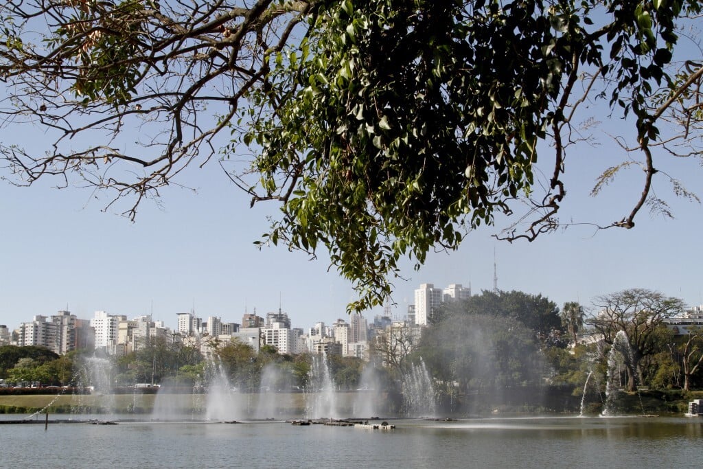 O Parque Ibirapuera reúne diversas opções de lazer, esporte e cultura, entre bosques, jardins, gramados e um lago
