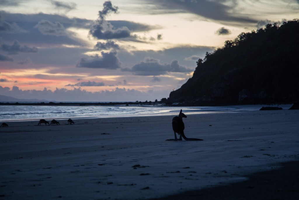 Amanhecer no parque nacional Cape Hillborough, na Austrália