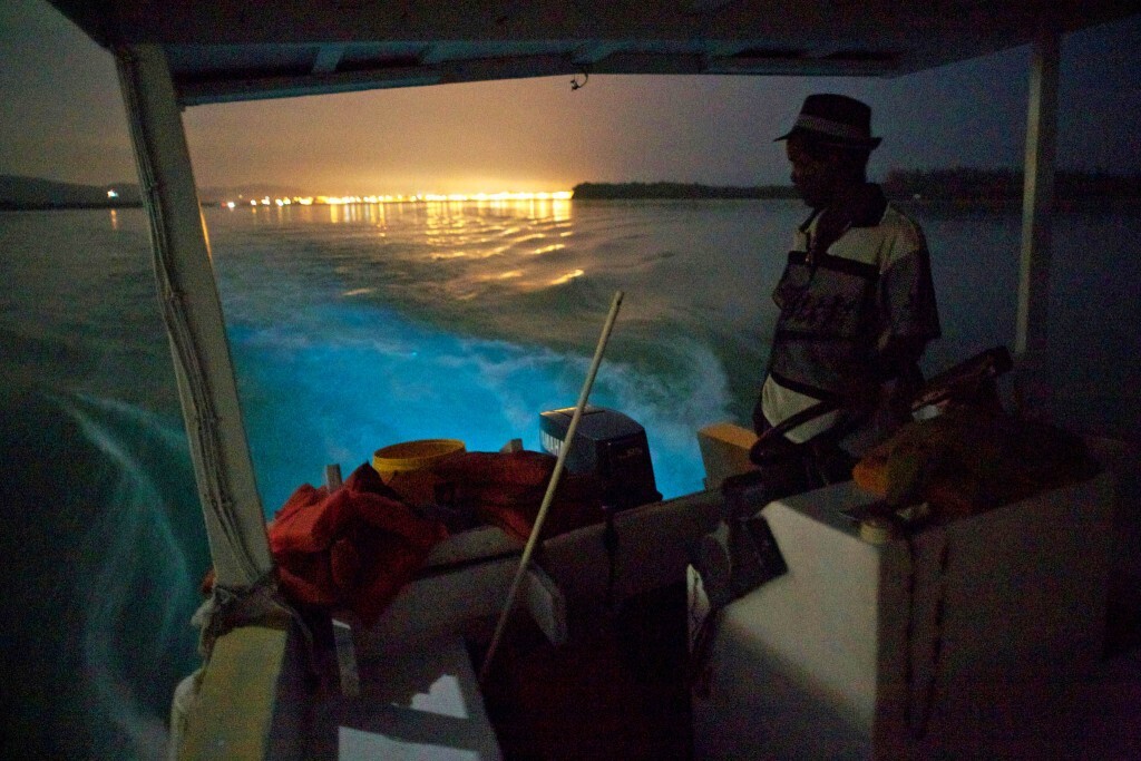 Bioluminescent Bay, Jamaica