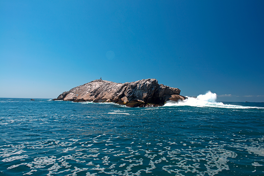 Parque Estadual Marinho da Laje de Santos