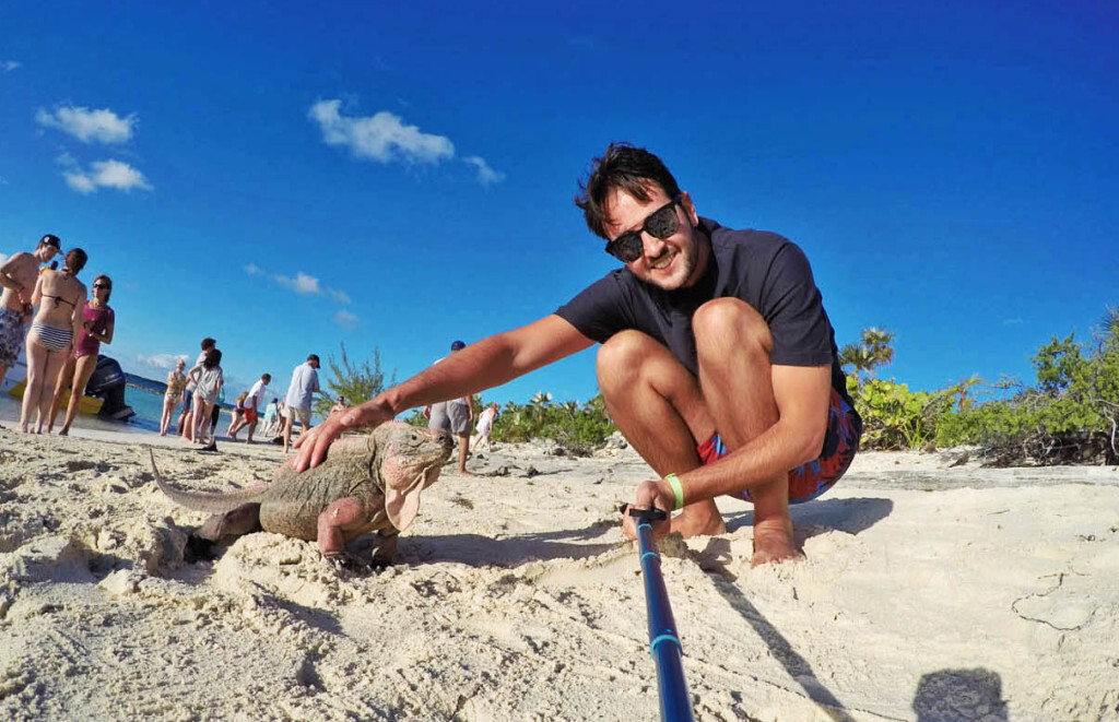 Simpáticas iguanas da Iguana Island – Exuma – Bahamas