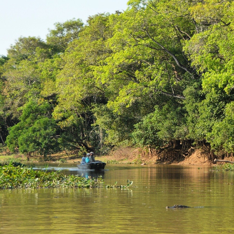 Barco no rio Cuiabá, Pantanal