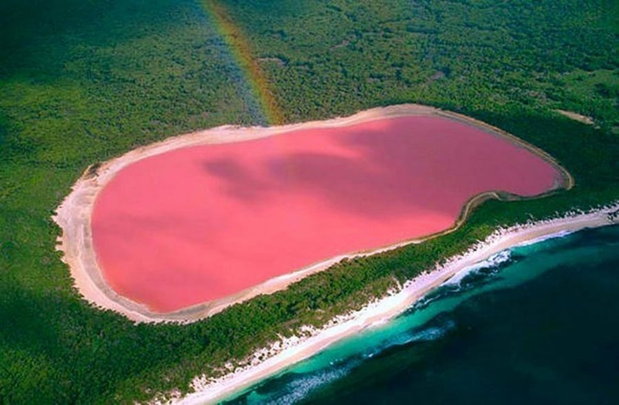Lago rosa em Hillier, Austrália