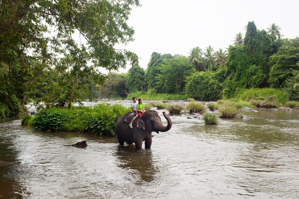 Pinnewala, Sri Lanka