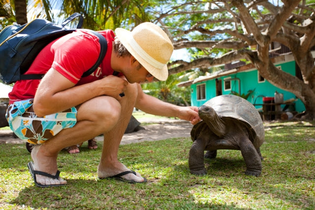 1 – Faça amizade com uma tartaruga gigante