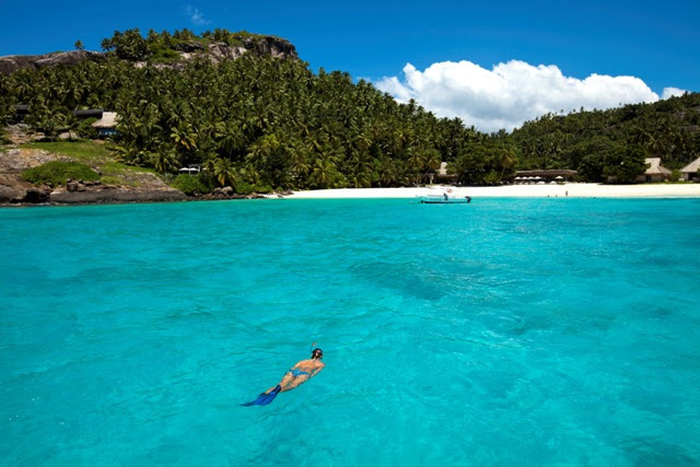 9 – Procure peixes, tartarugas e outros animais marinhos em um passeio de snorkel