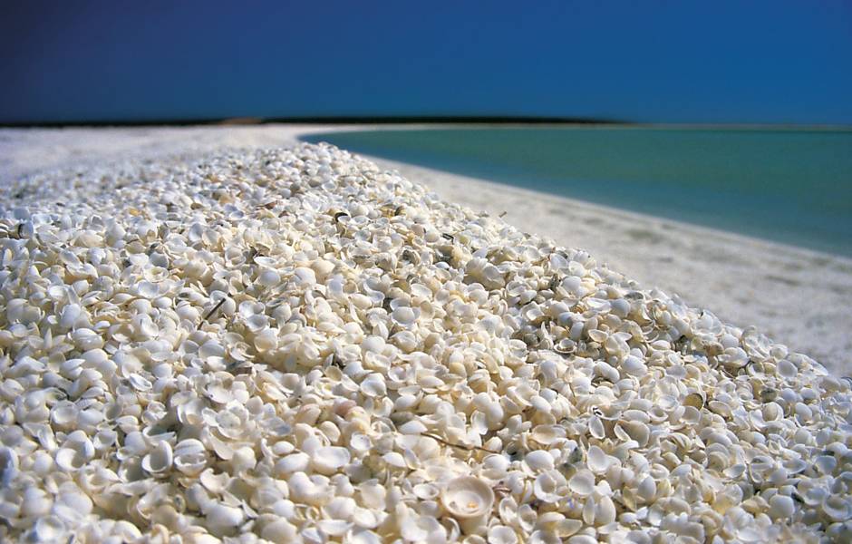 Shell Beach, em Shark Bay, na Austrália, é coberta por incontáveis conchinhas brancas