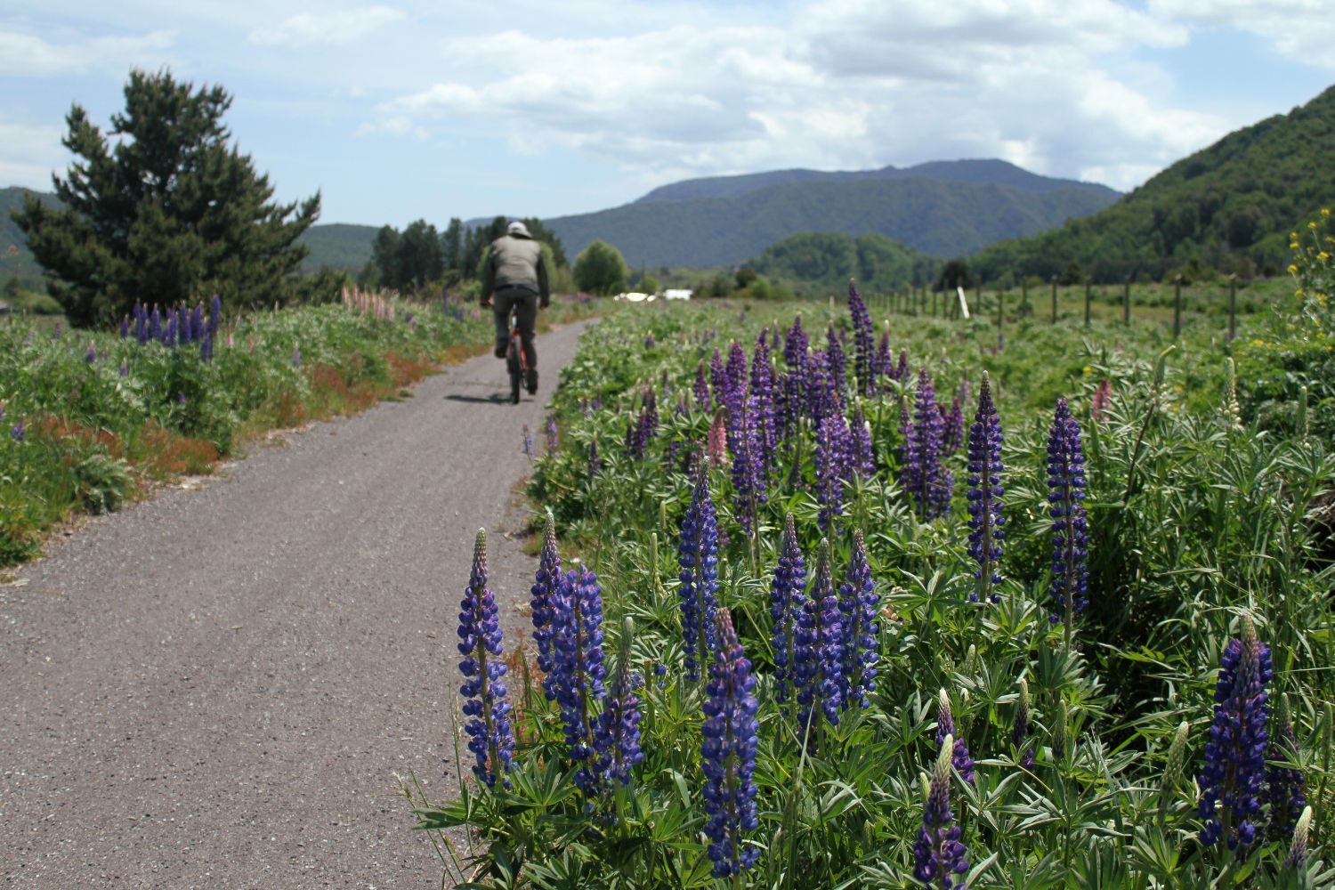 Ciclovia Manzanar – Malalcahuello, no sul do Chile