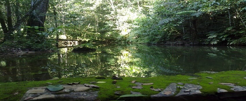 Vista do Santuário de Vida Silvestre Vagafogo