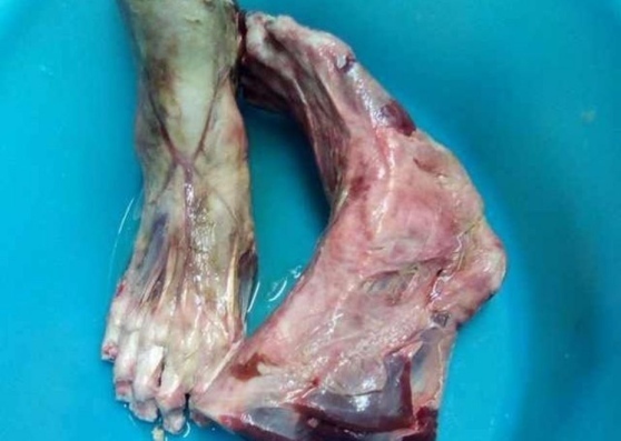 Restaurante chinês na zona industrial de Pádua, na Itália, é acusado de servir os pés humanos