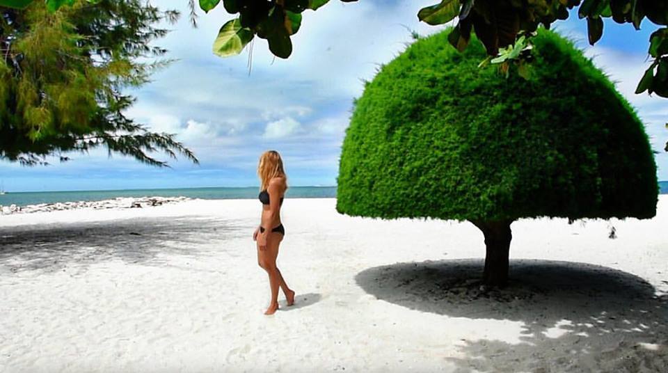 Cassandra em Kiribati