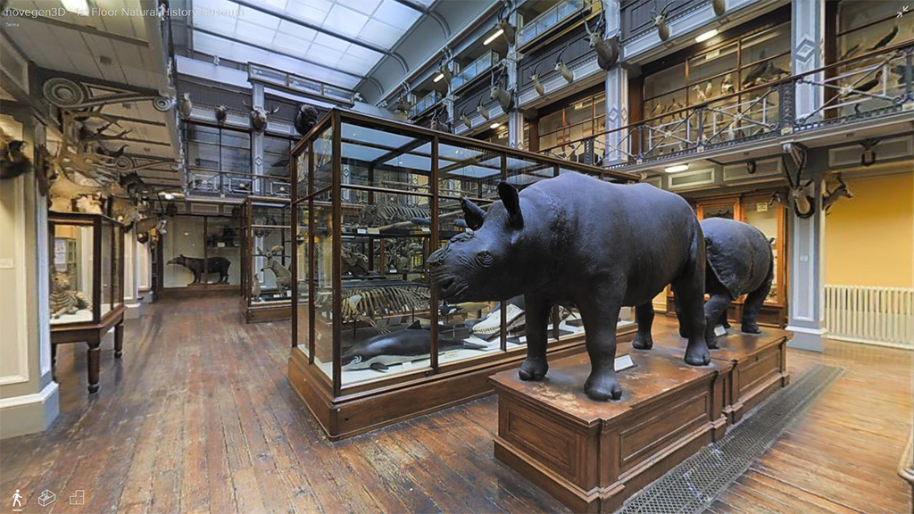 O museu de História Natural é um dos mais legais de Dublin