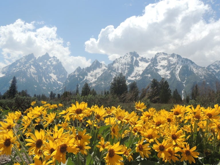 Grand Teton National Park