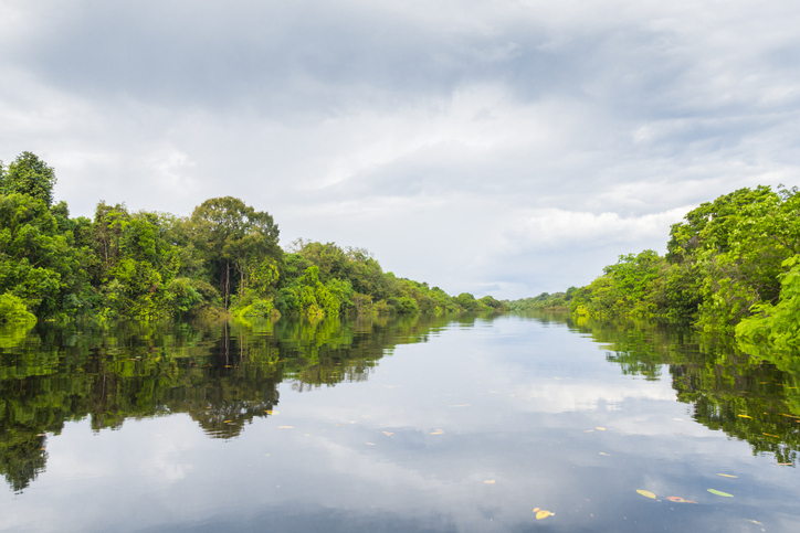 Entre setembro e fevereiro, época de seca, pode-se encontrar belas praias que emergem no leito do rio Negro (foto)