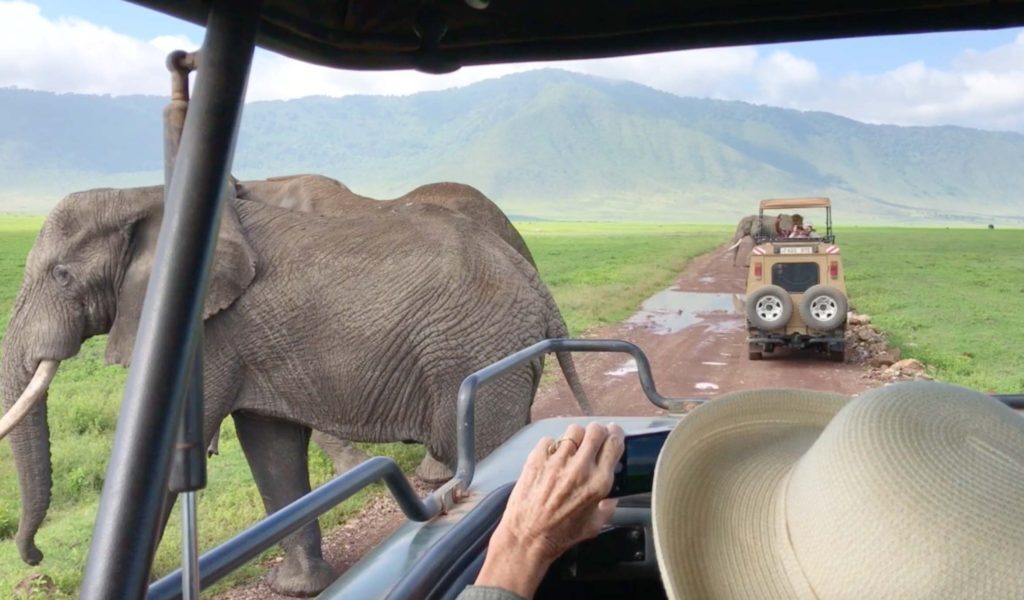 Elefantes durante o safári na Cratera de Ngorongoro