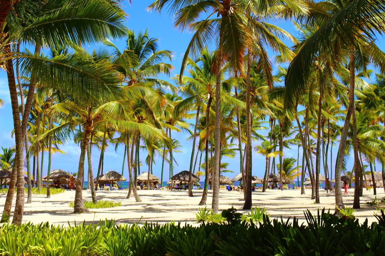 15 – Roatán (Honduras)