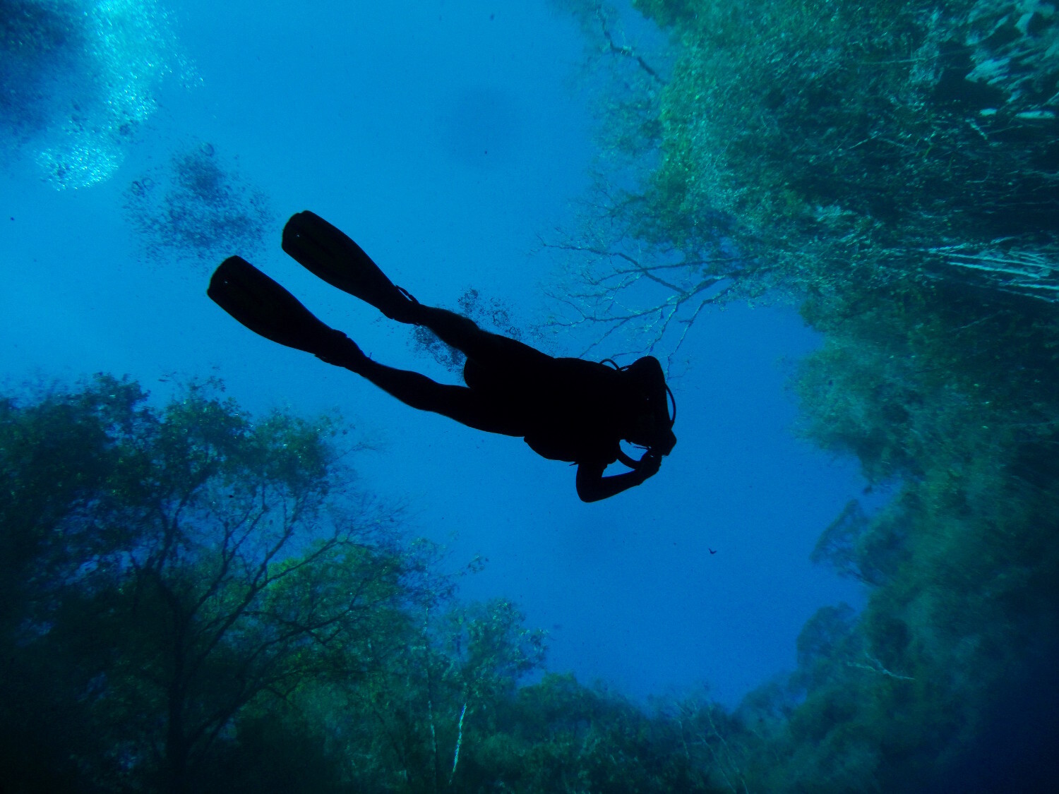 Lagoa Misteriosa, um dos pontos de mergulho mais cobiçados de Bonito